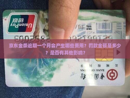 京东金条逾期一个月罚款多少