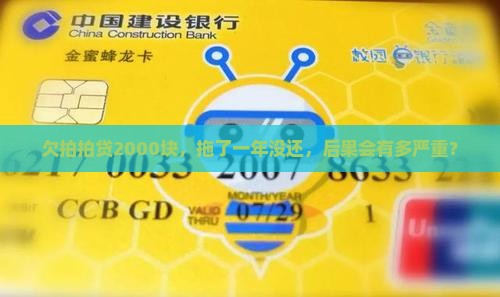欠拍拍贷2000一年没还会怎样