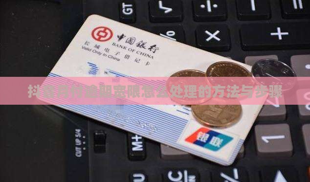 抖音月付逾期宽限怎么处理