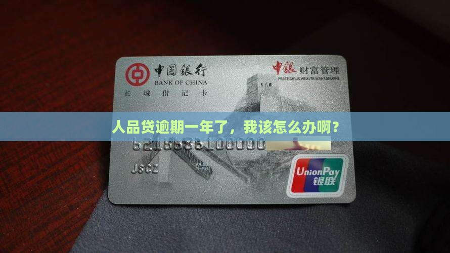 人品贷逾期一年如何处理