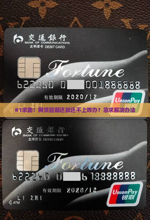 咨询网贷延期还款怎么办