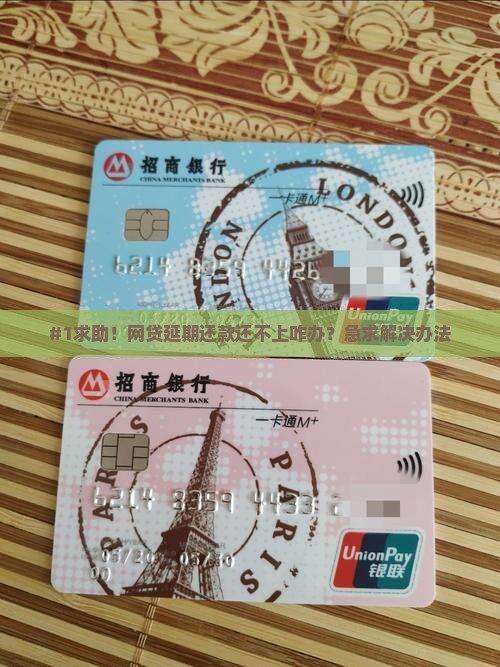 咨询网贷延期还款怎么办
