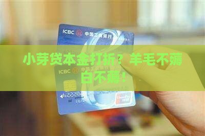 小芽贷本金打折活动详情