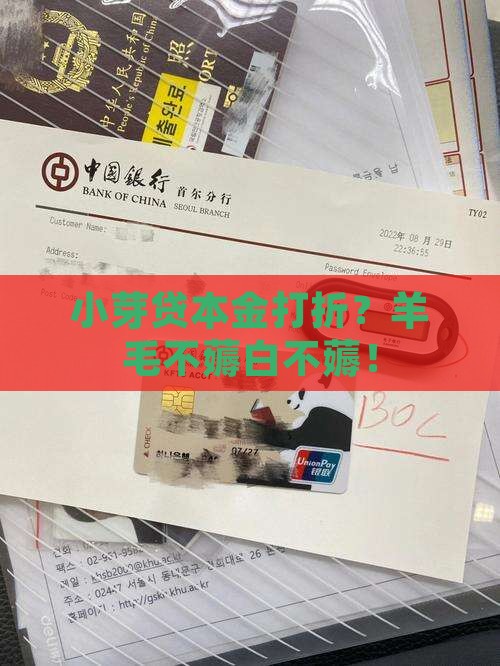 小芽贷本金打折活动详情