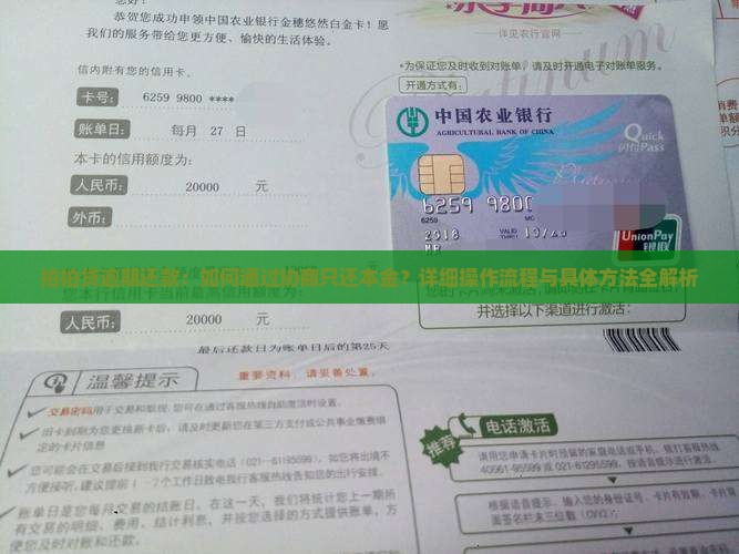 拍拍贷能协商只还本金吗怎么操作