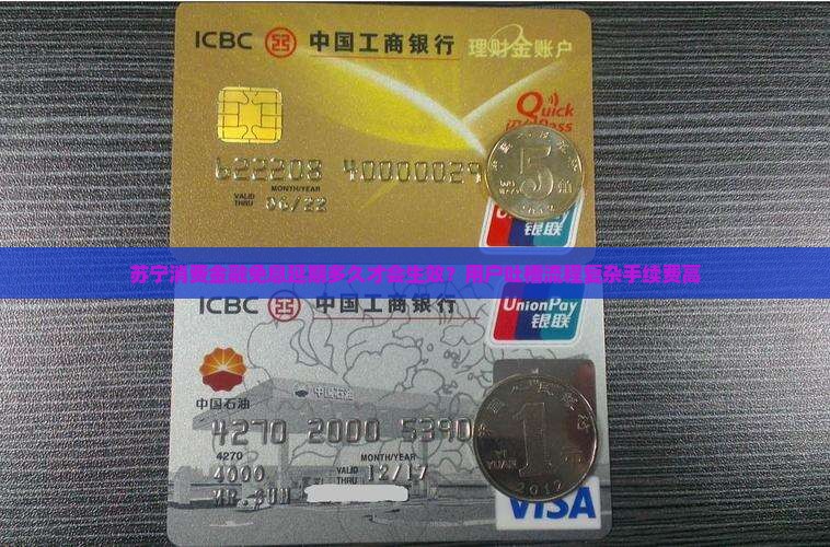 苏宁消费金融免息延期多久才会生效