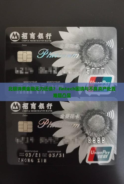 北银消费金融无力还债