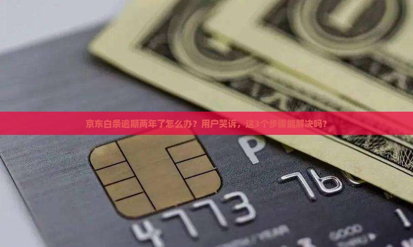 京东白条恶意逾期2年标准如何执行