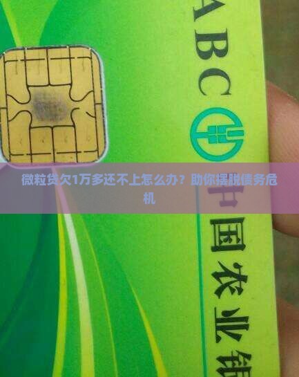 微粒贷欠1万多应该怎么办