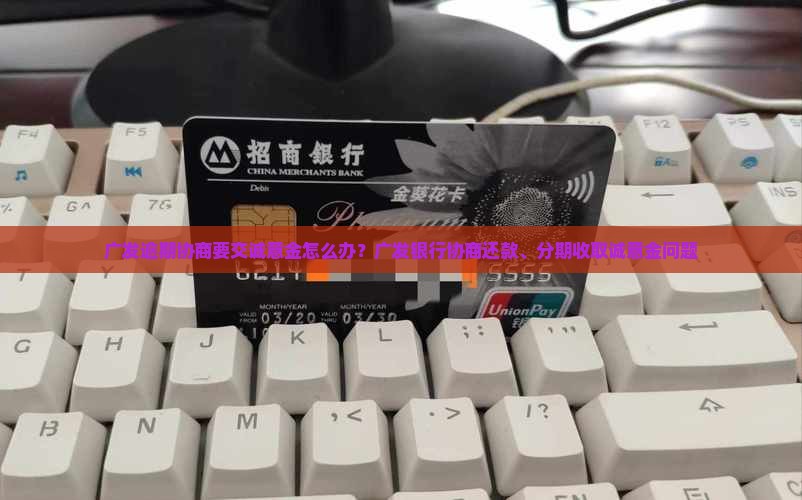 广发逾期协商要交诚意金怎么办