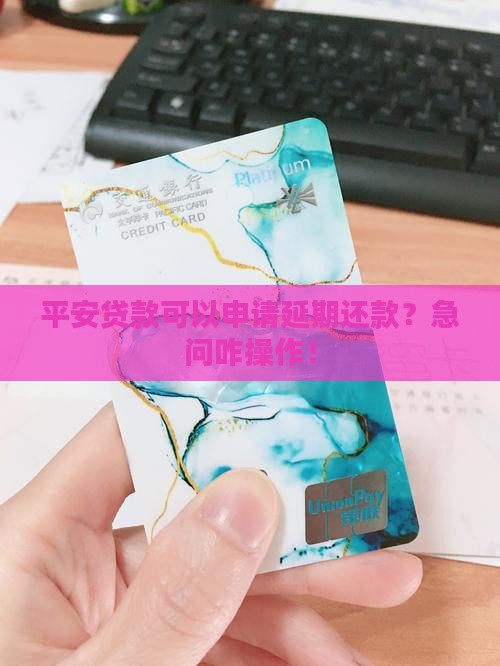平安贷款申请延期还款