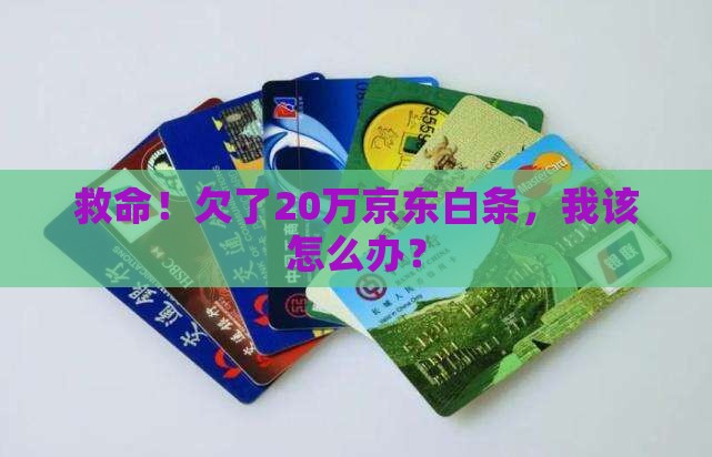 欠20万京东白条如何处理