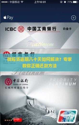 微粒贷逾期八十天如何解决
