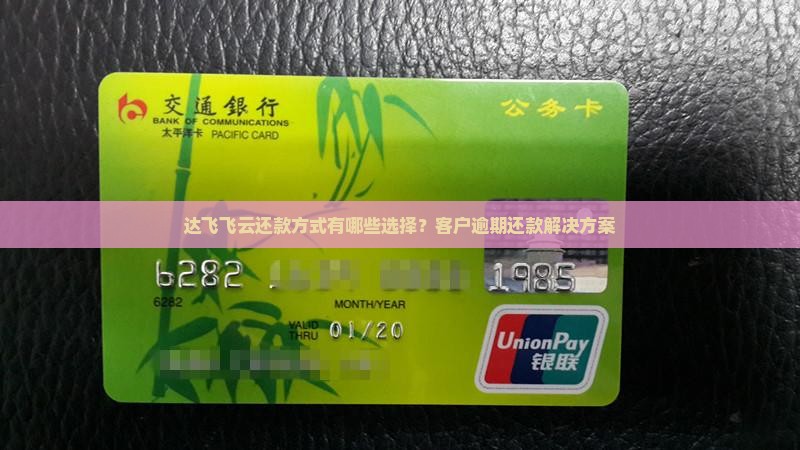 达飞云贷2023还款方式有哪些选择