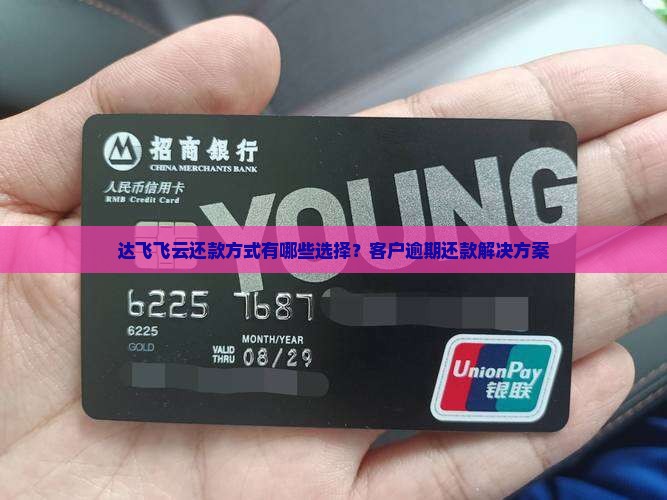 达飞云贷2023还款方式有哪些选择