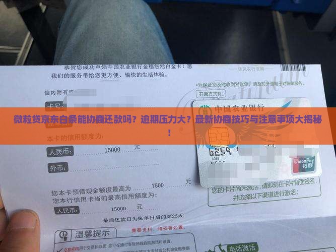 微粒贷京东白条能协商还款吗需要注意什么