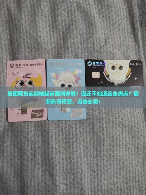 美团网贷逾期被起诉案例详解