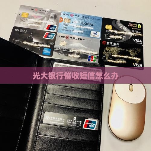 光大银行催收短信怎么办