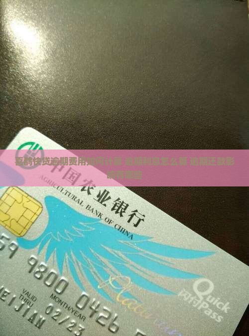 喜鹊快贷逾期费用如何计算