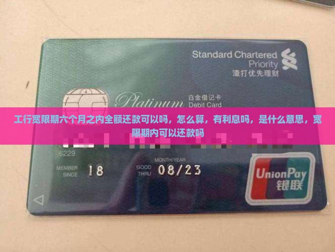 工行宽限期六个月之内全额还款