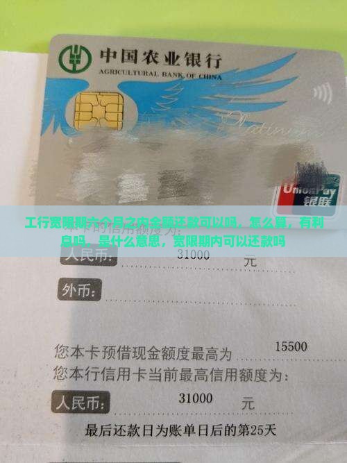 工行宽限期六个月之内全额还款
