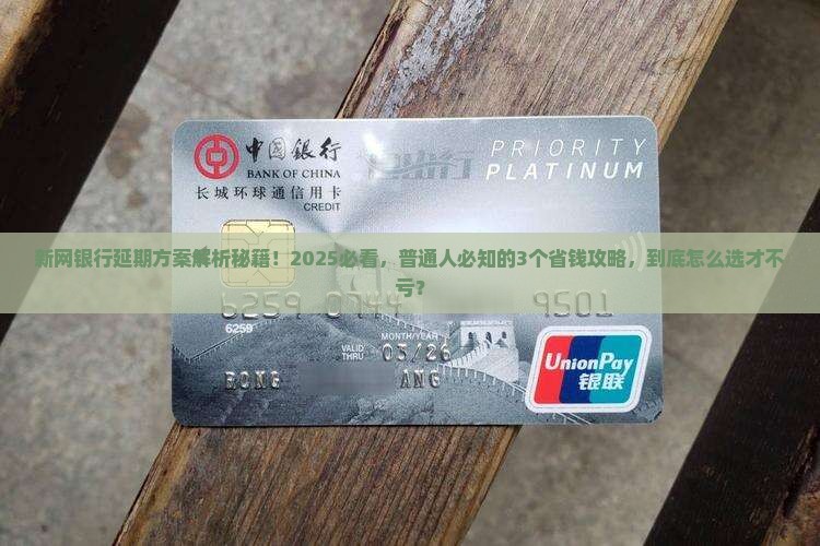新网银行延期方案解读