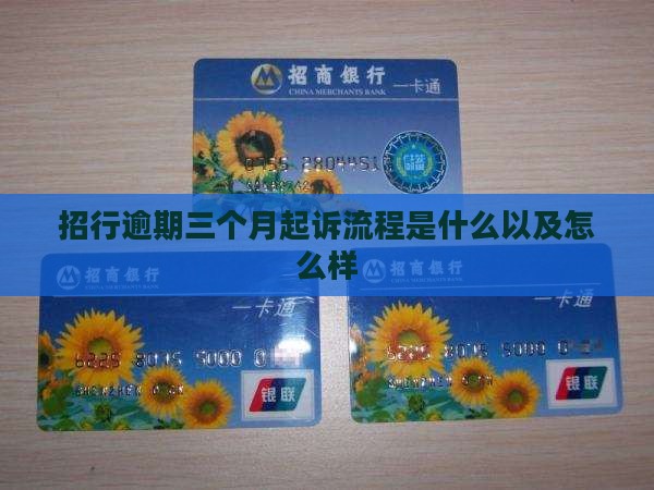 招行逾期三个月起诉流程