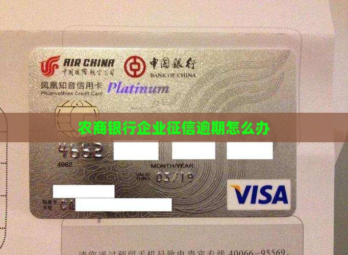 农商银行企业征信逾期怎么办