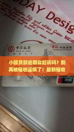 小额贷款逾期会起诉吗