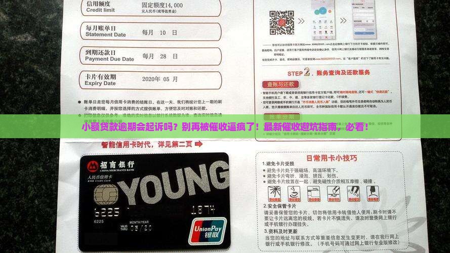 小额贷款逾期会起诉吗