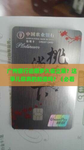 广州银行逾期多久会立案
