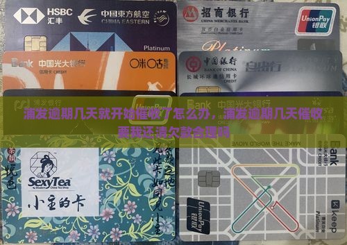 浦发逾期几天就开始催收了怎么办