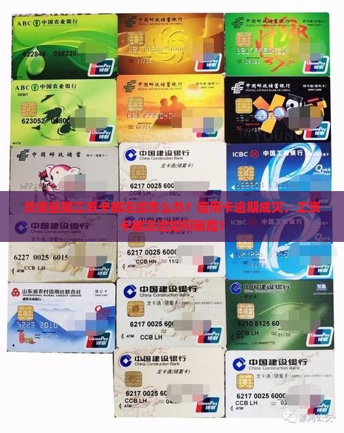 负债逾期工资卡被冻结怎么办