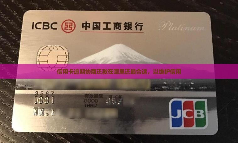 信用卡逾期协商还款在哪里还最合适