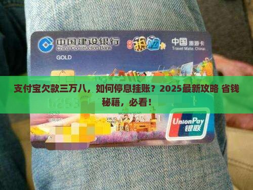 支付宝三万八停息挂账解决方法