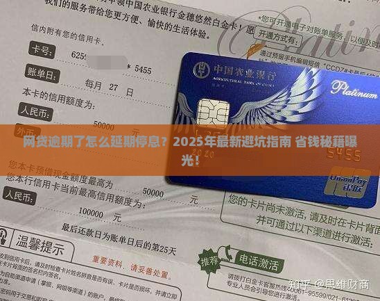 网贷如何延期停息挂账该怎么处理