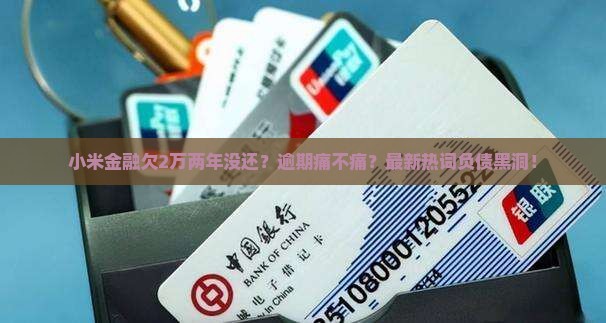 小米金融欠2万两年没还