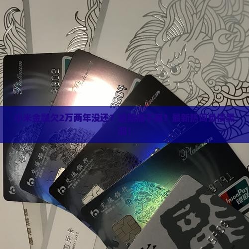 小米金融欠2万两年没还