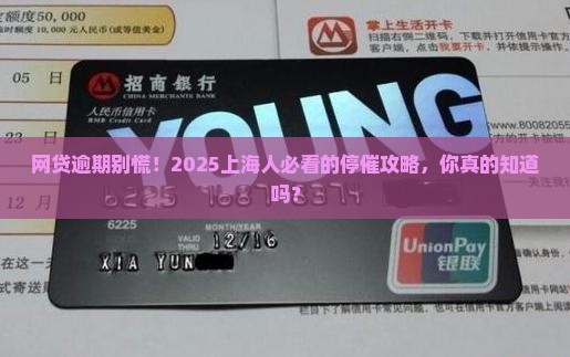 上海市网贷逾期如何有效应对停止催收