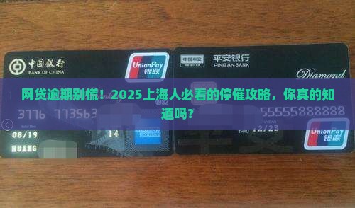 上海市网贷逾期如何有效应对停止催收