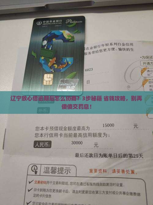 辽宁放心借逾期要怎么协商