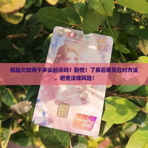 极融欠款两千多会起诉吗