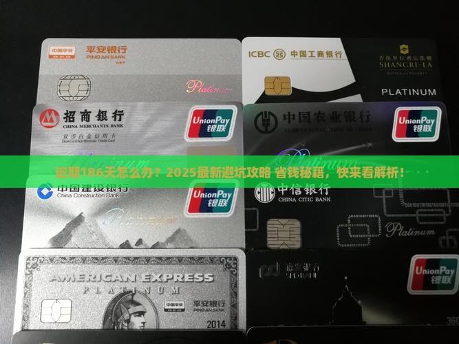 微粒贷逾期186天如何处理