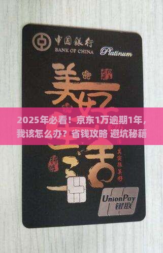 京东白条1万逾期1年怎么办 京东白条1万逾期1年怎么办