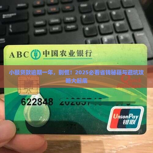小额贷款逾期一年应该怎么处理