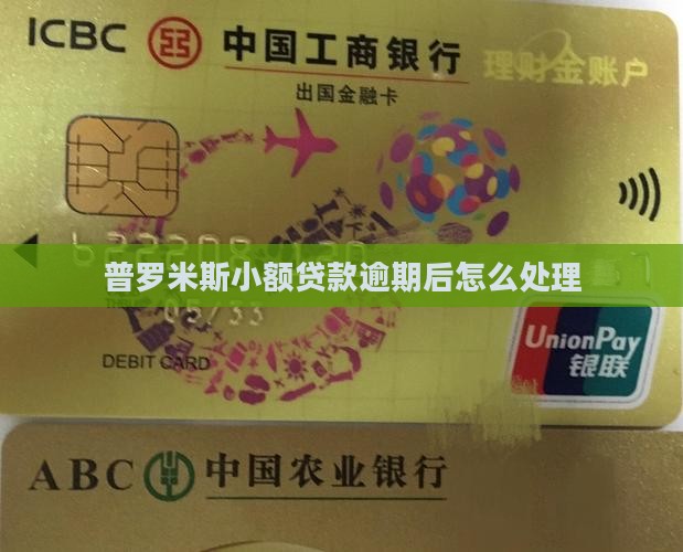 普罗米斯小额贷款逾期后怎么处理