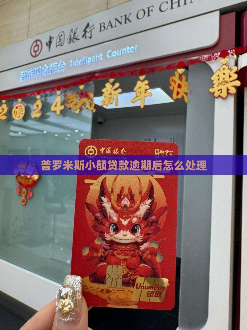 普罗米斯小额贷款逾期后怎么处理