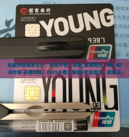 拍拍贷现金逾期怎么办