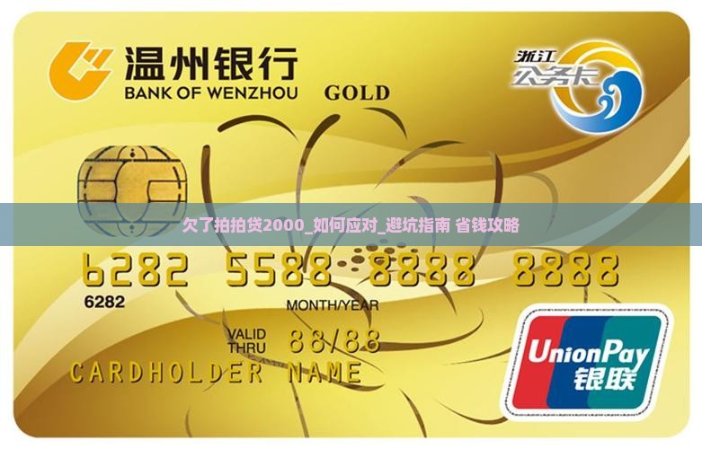 欠了拍拍贷2000