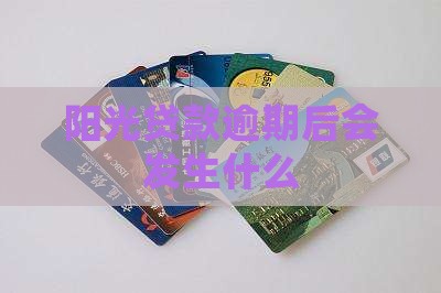 阳光信贷贷款逾期后会发生什么